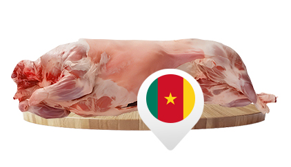Cameroun
